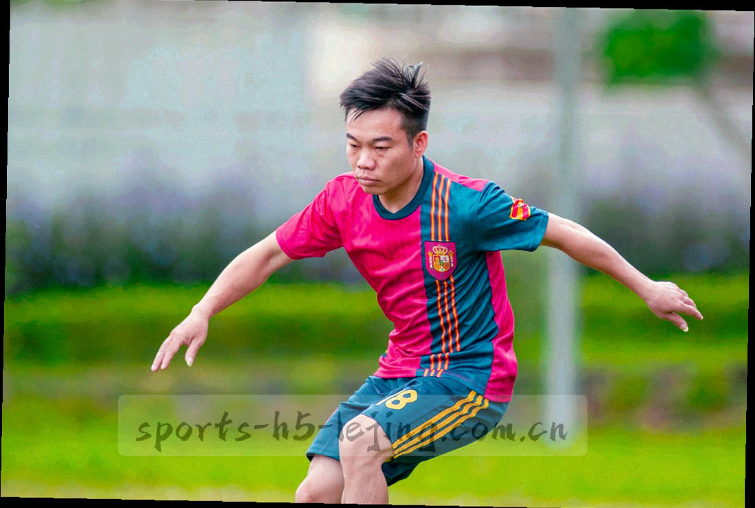 客服邮件界面中版本说明与截图附件位置的示意
